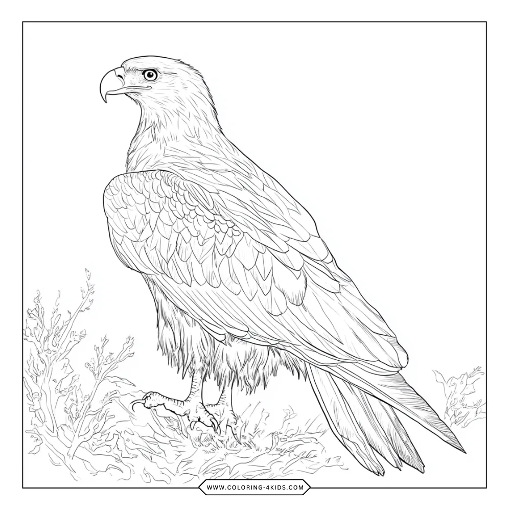 Bald Eagle coloring book preview page 3