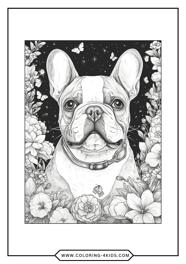 Bulldog coloring book preview page 1