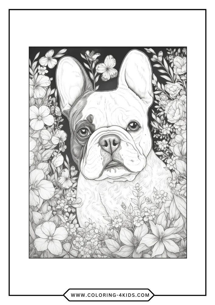 Bulldog coloring book preview page 2