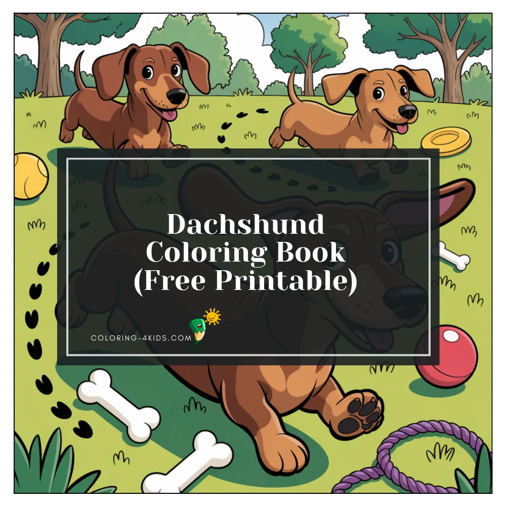 Dachshund