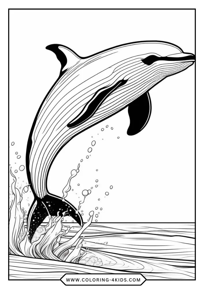 Killer Whale coloring book preview page 1