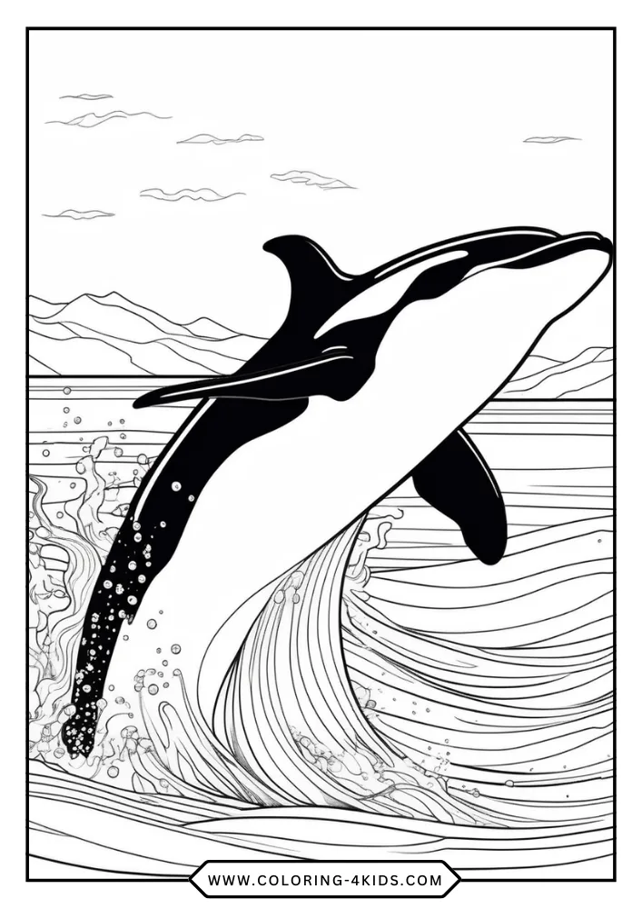 Killer Whale coloring book preview page 2
