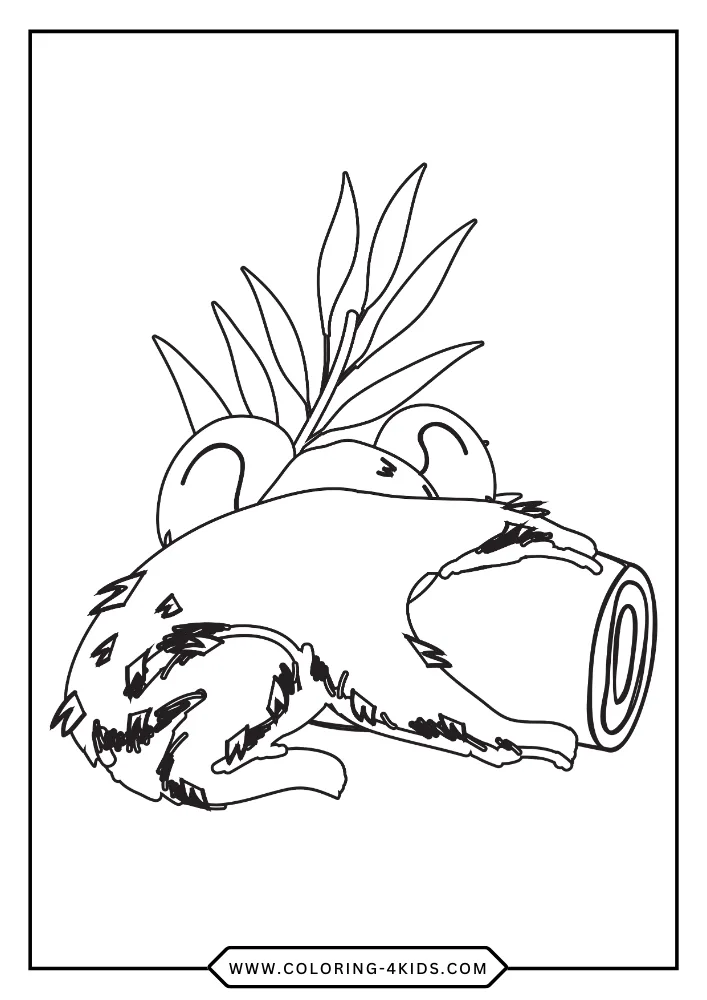 Koala Bear coloring book preview page 1