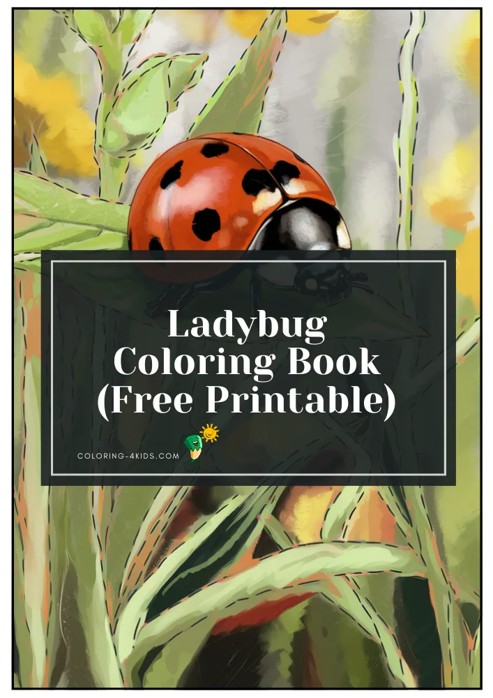 Ladybug