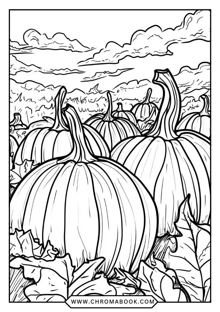 Pumpkin Patch coloring book preview page 4