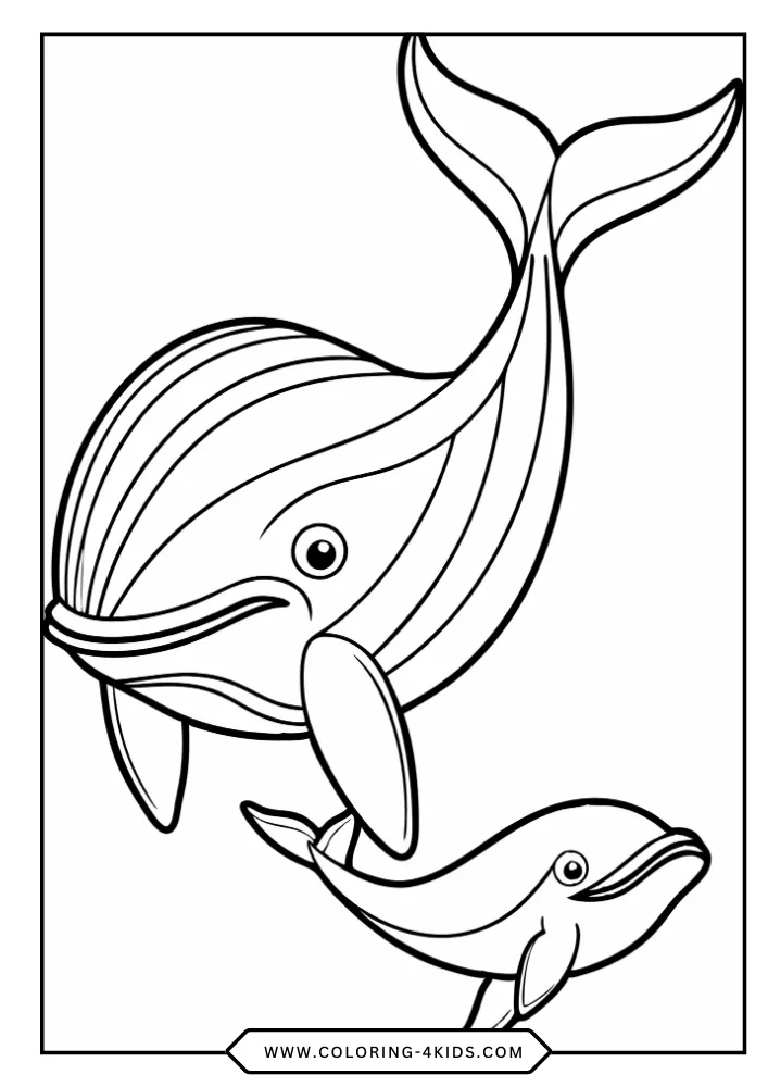 Whale coloring book preview page 1