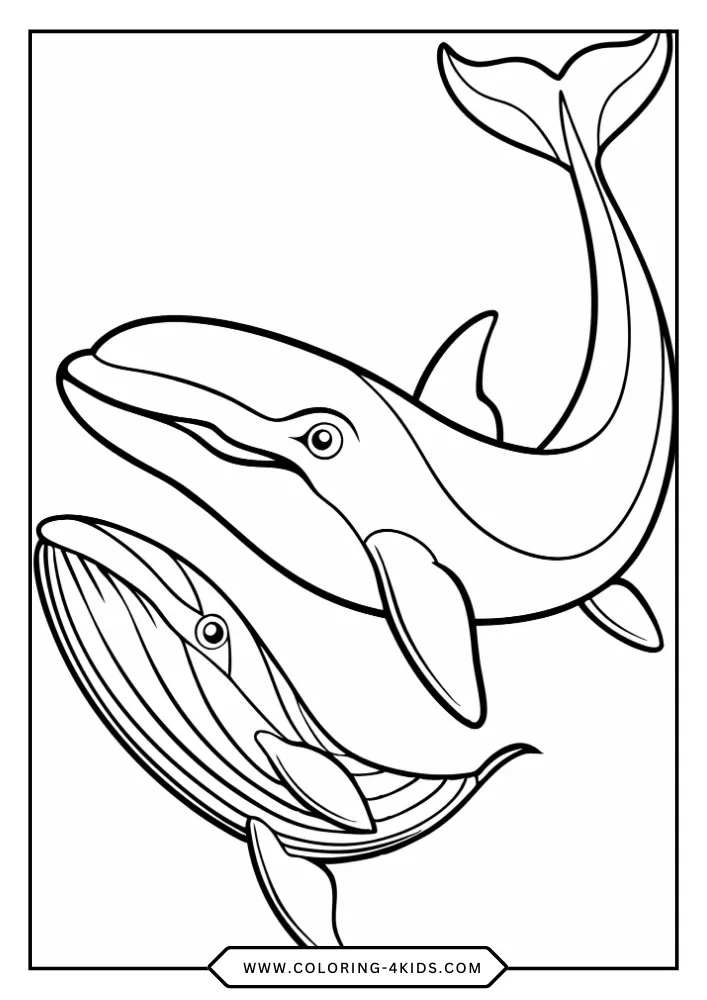 Whale coloring book preview page 4