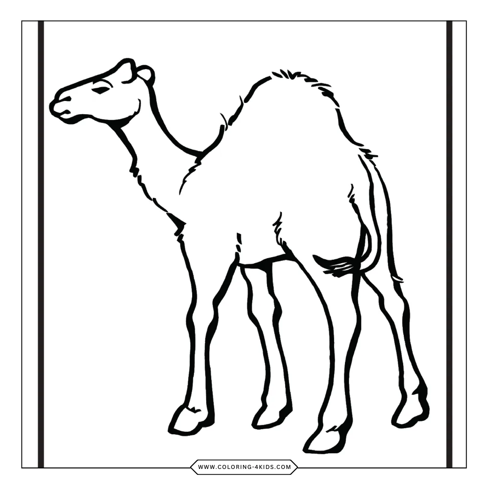 Zoo Animals coloring book preview page 2