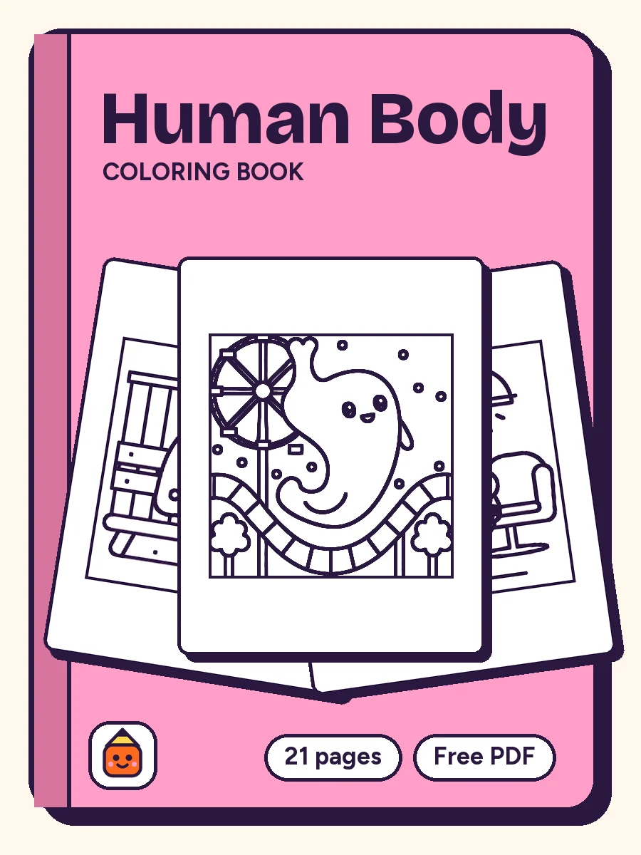 Cover of Human Body Coloring Book