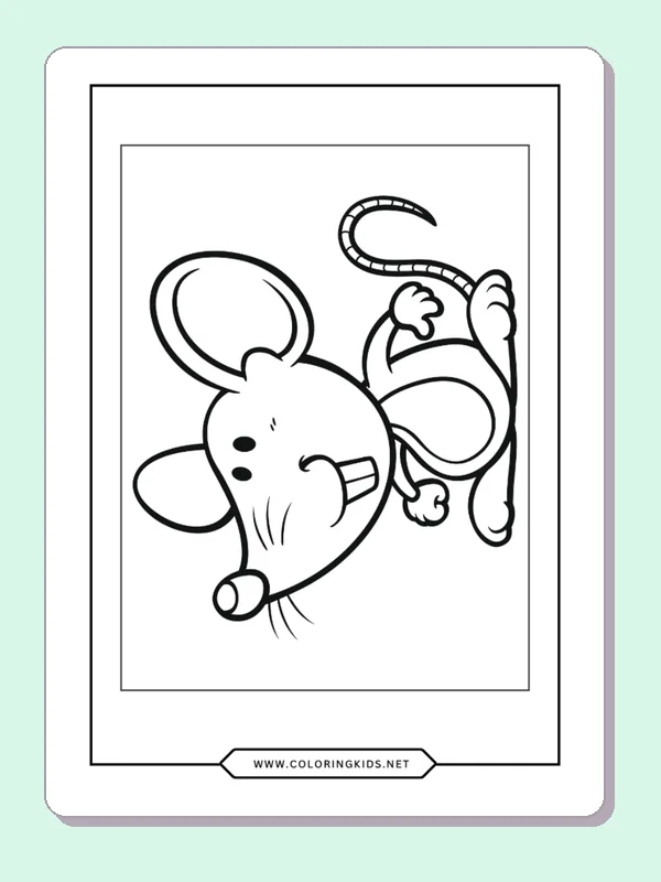 Rat lying on its back