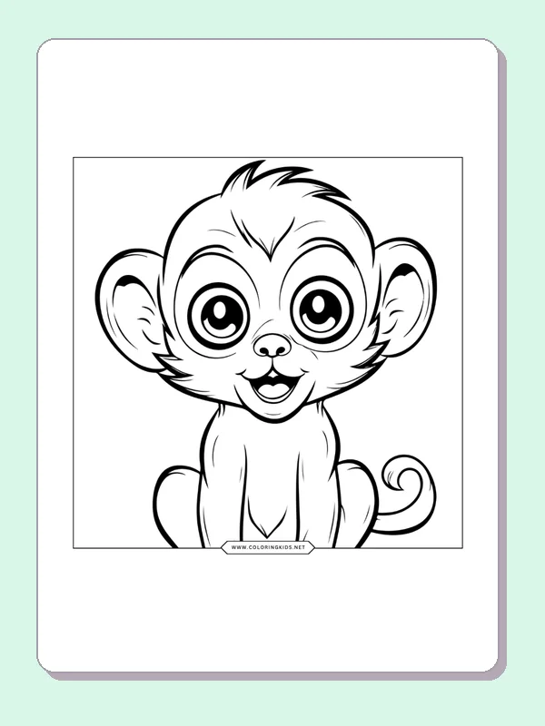 Big-eyed baby monkey portrait