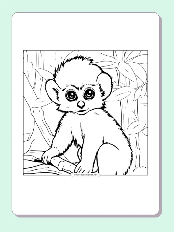 Monkey sitting among tree branches