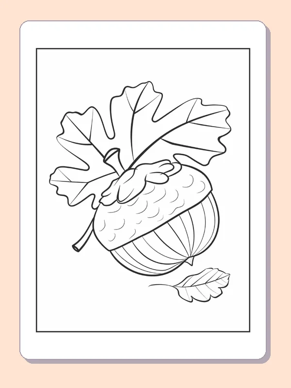 Plain Acorn Beneath a Large Oak Leaf, black-and-white acorn line art