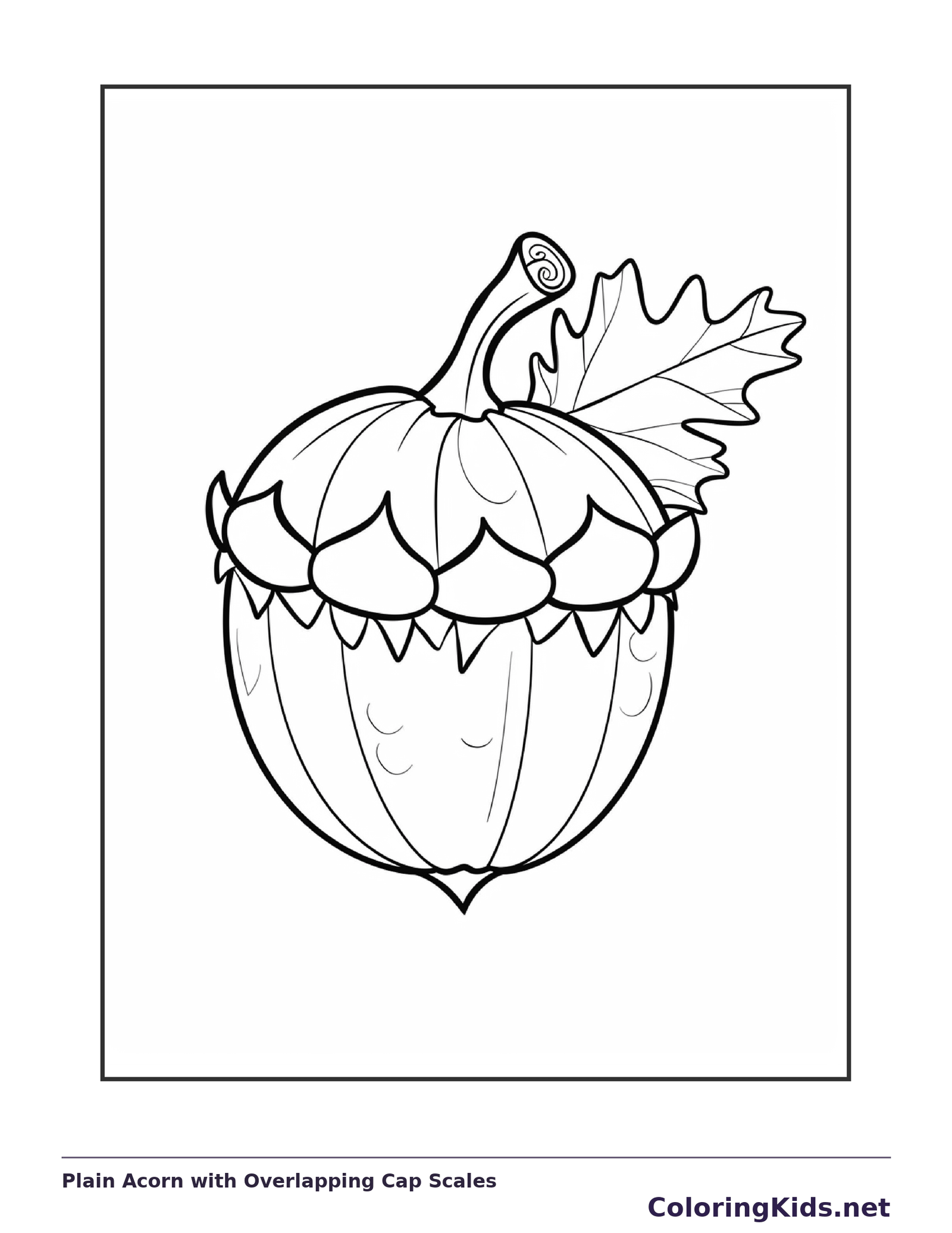 Plain Acorn with Overlapping Cap Scales, black-and-white acorn line art
