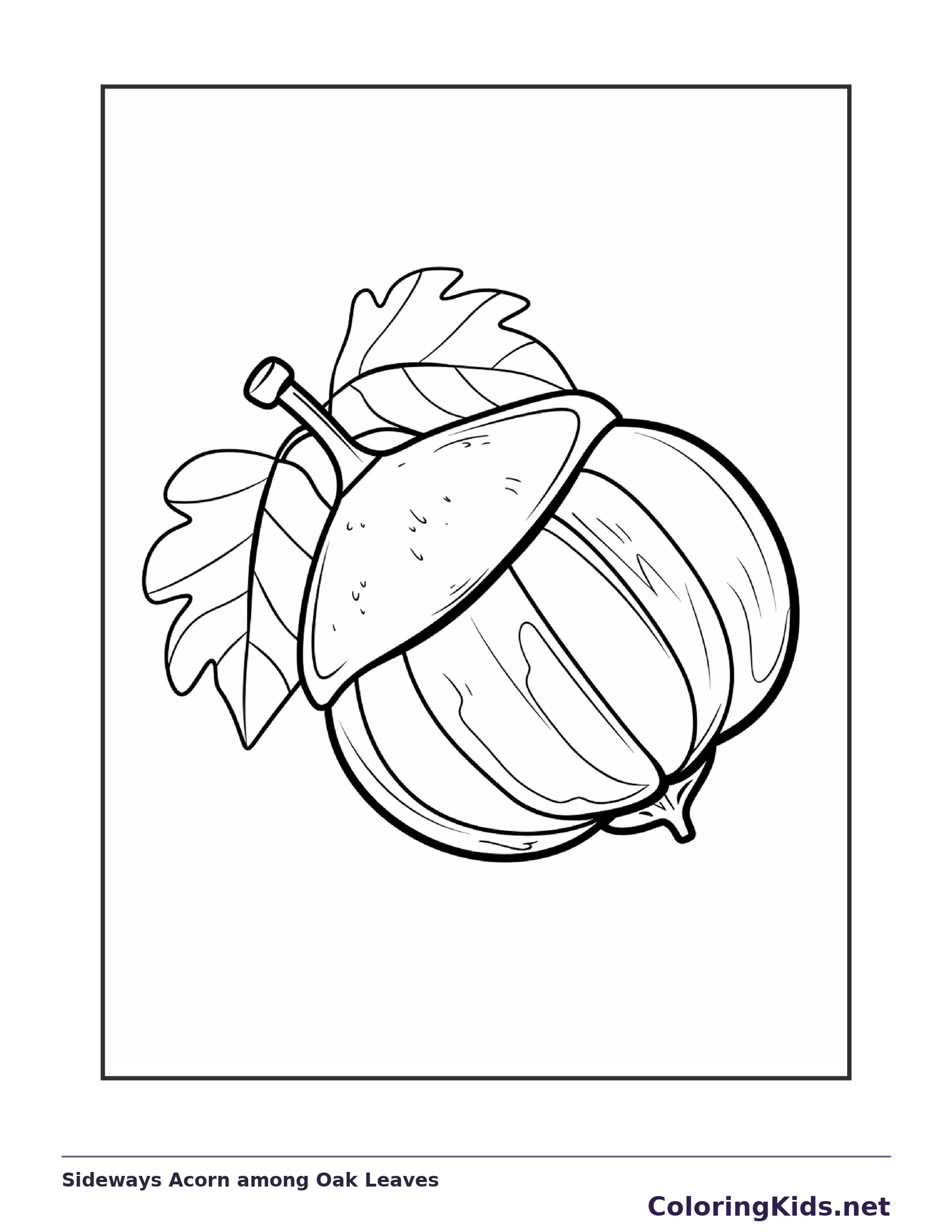 Sideways Acorn among Oak Leaves, black-and-white acorn line art