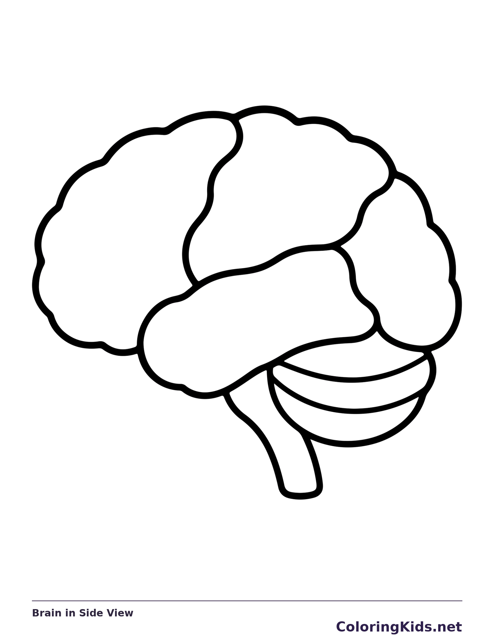 Black and white printable brain in side view coloring sheet