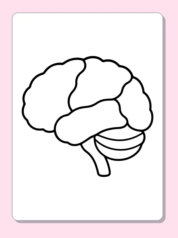 Black and white printable brain in side view coloring sheet