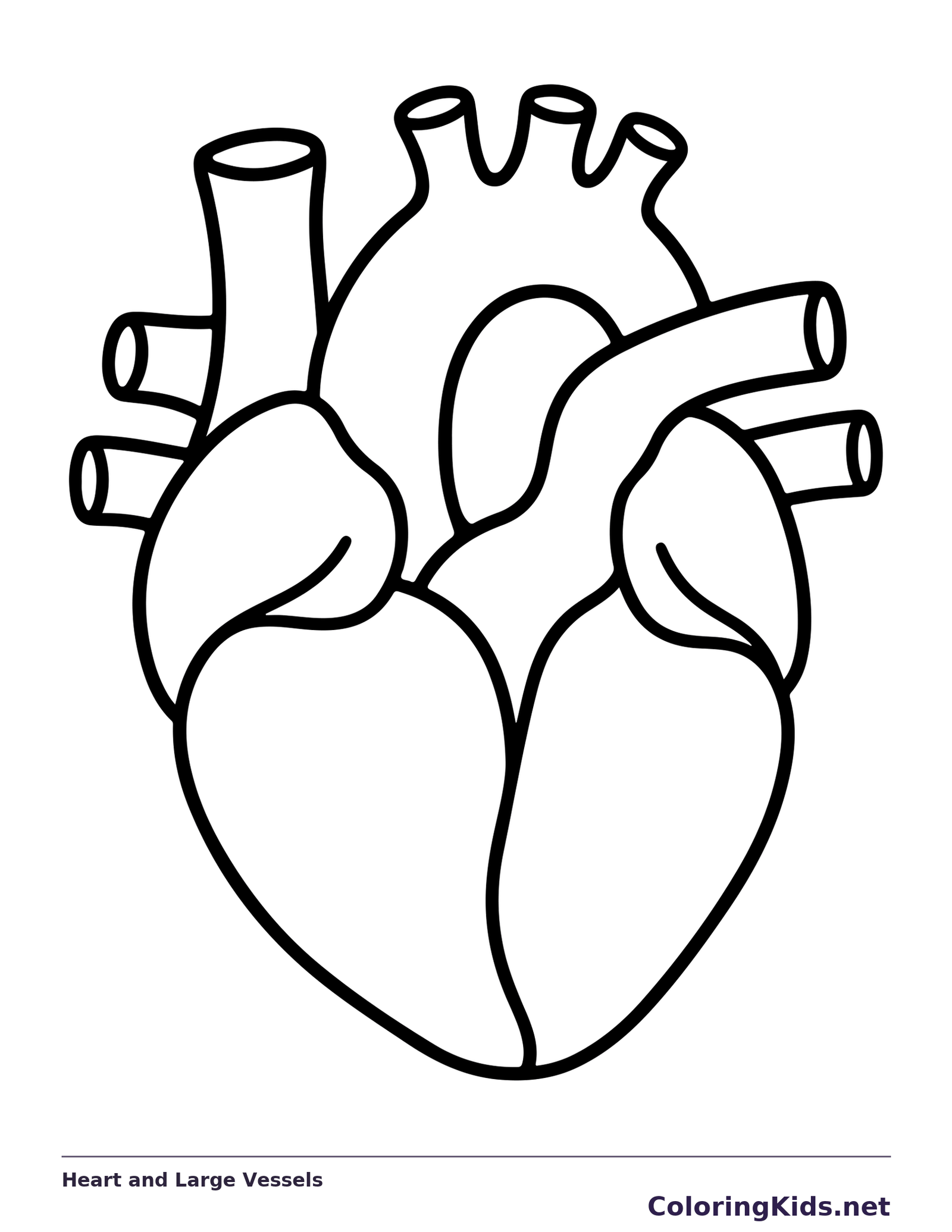 Black and white printable heart and large vessels coloring sheet