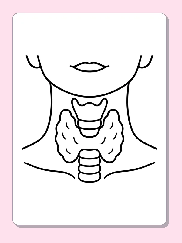 Black and white printable thyroid in the neck coloring sheet
