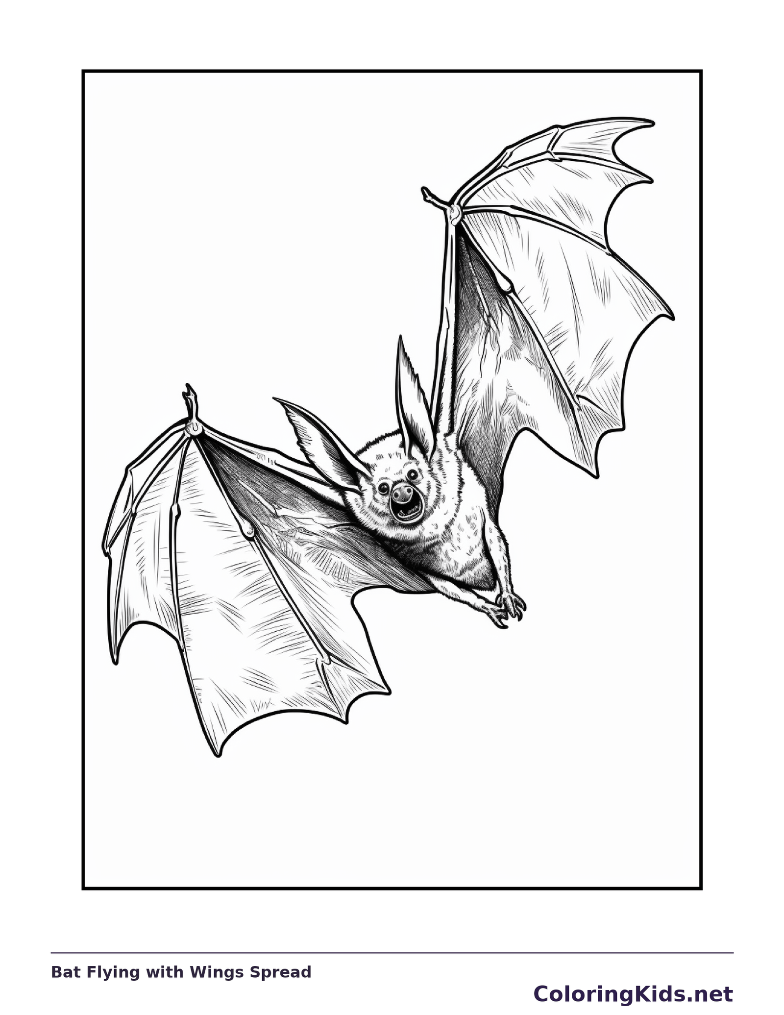 Bat Flying with Wings Spread coloring page, black and white printable line art
