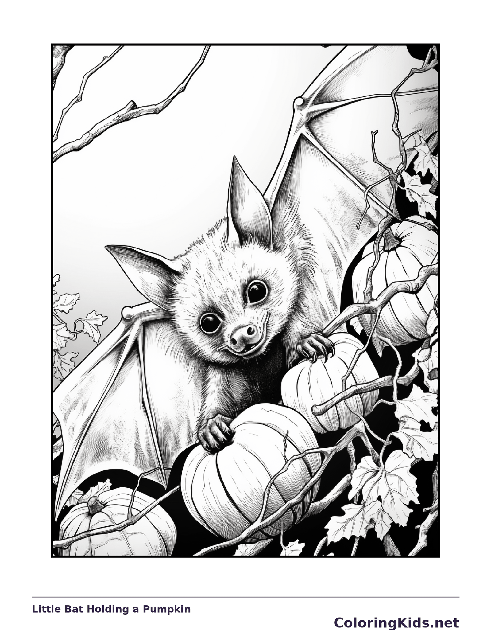 Color Book Bat Little Bat Holding a Pumpkin coloring page | ColoringKids.net