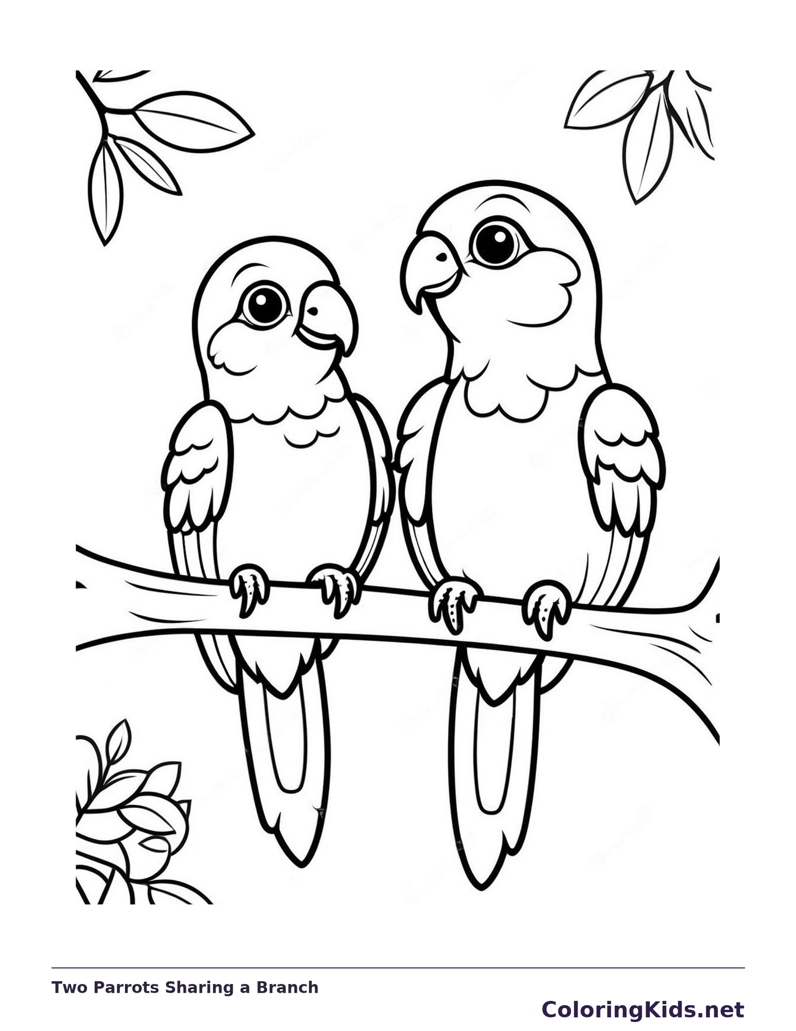 Black and white printable bird coloring page of a Pair of parrots with hooked beaks and long hanging tails on a branch