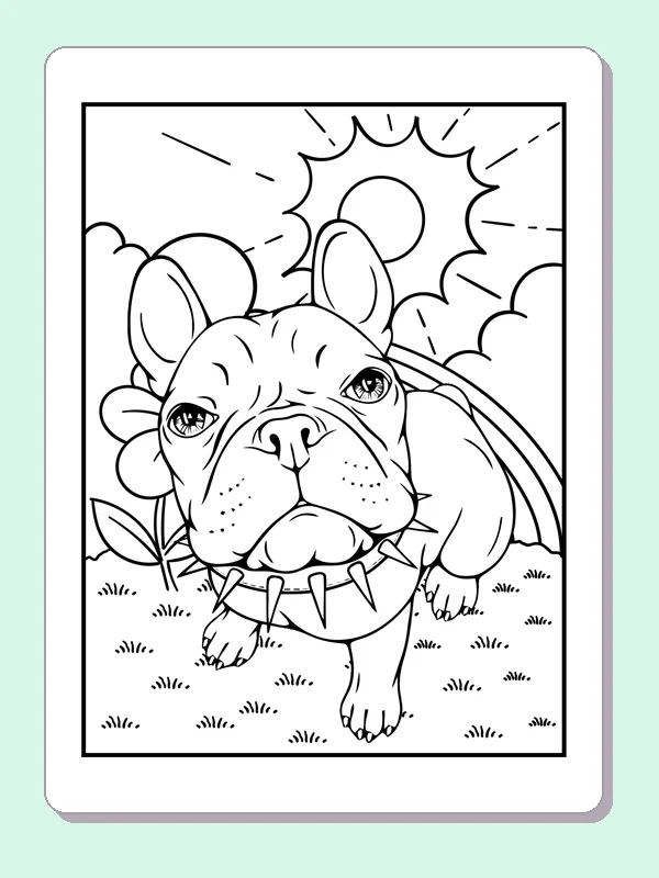Bulldog resting in grass under large sun