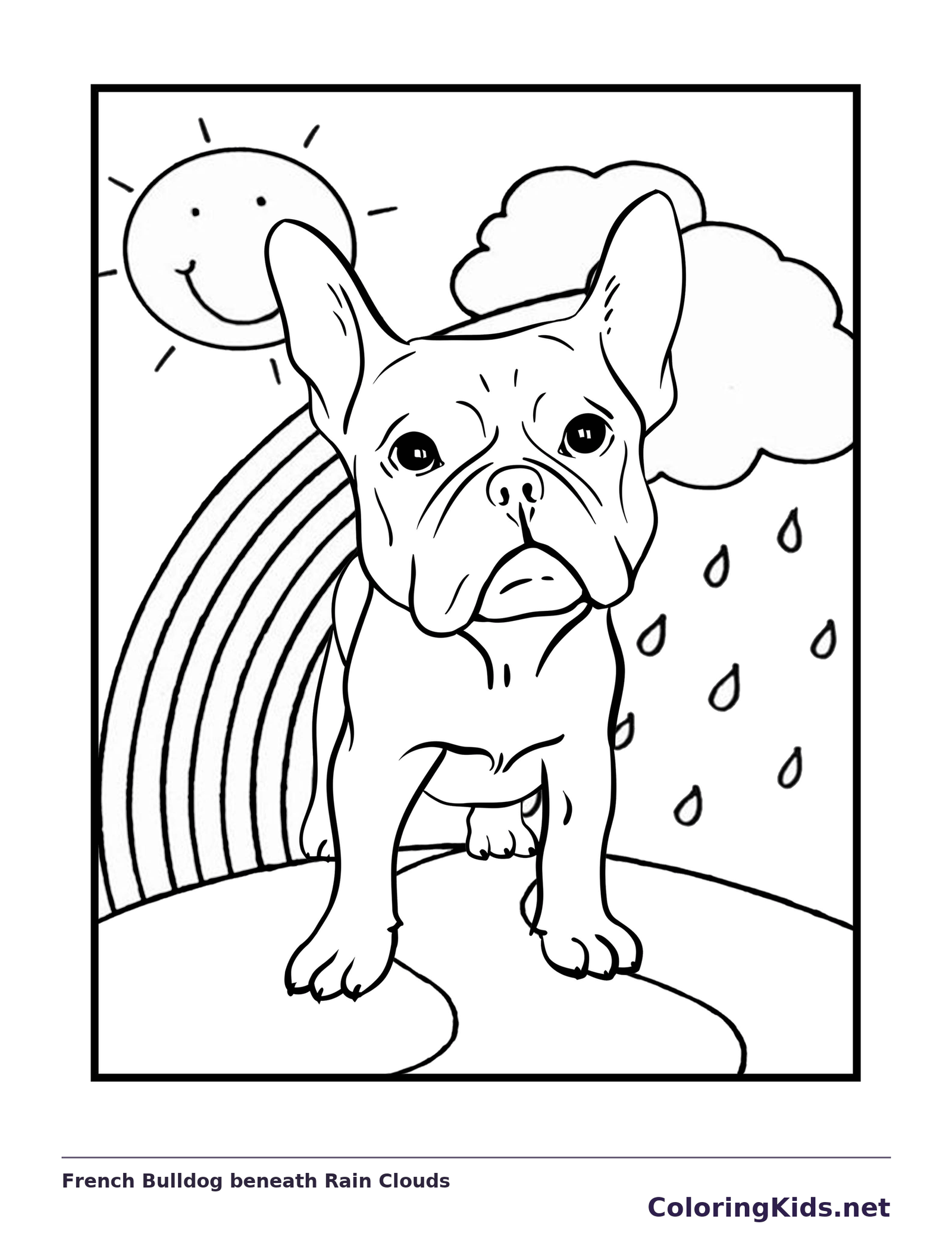 Standing Frenchie with rain clouds and rainbow