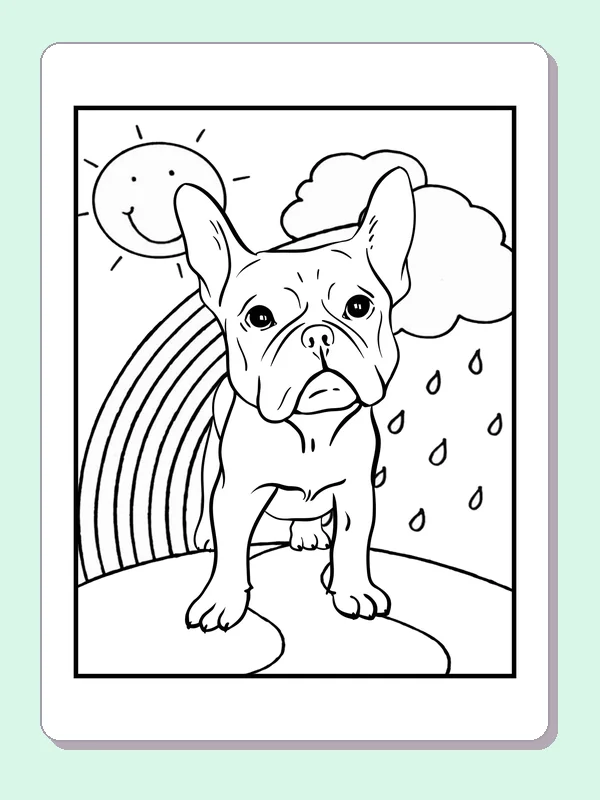 Standing Frenchie with rain clouds and rainbow