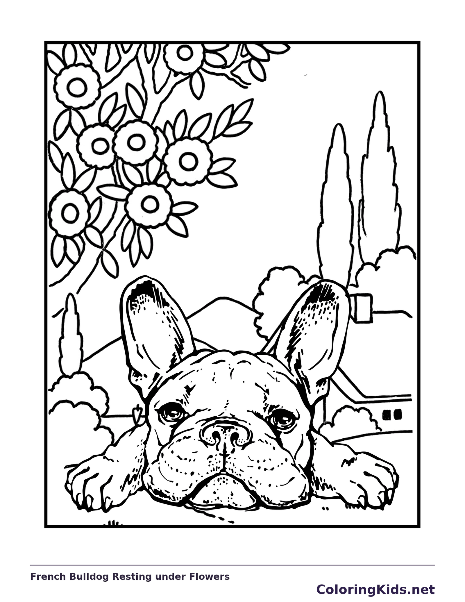 Bulldog face resting below hanging flowers