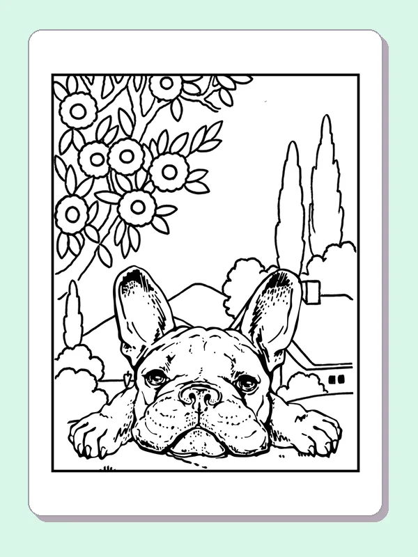 Bulldog face resting below hanging flowers