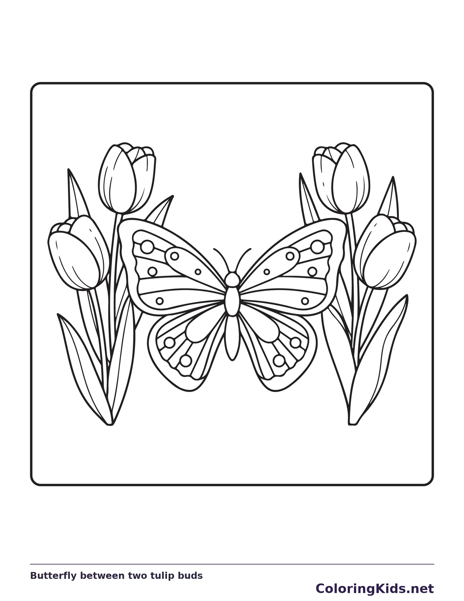 Black and white printable butterfly between two tulip buds coloring sheet