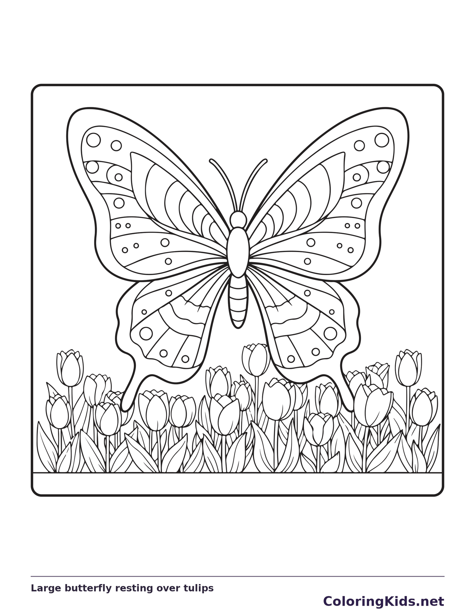 Black and white printable large butterfly resting over tulips coloring sheet