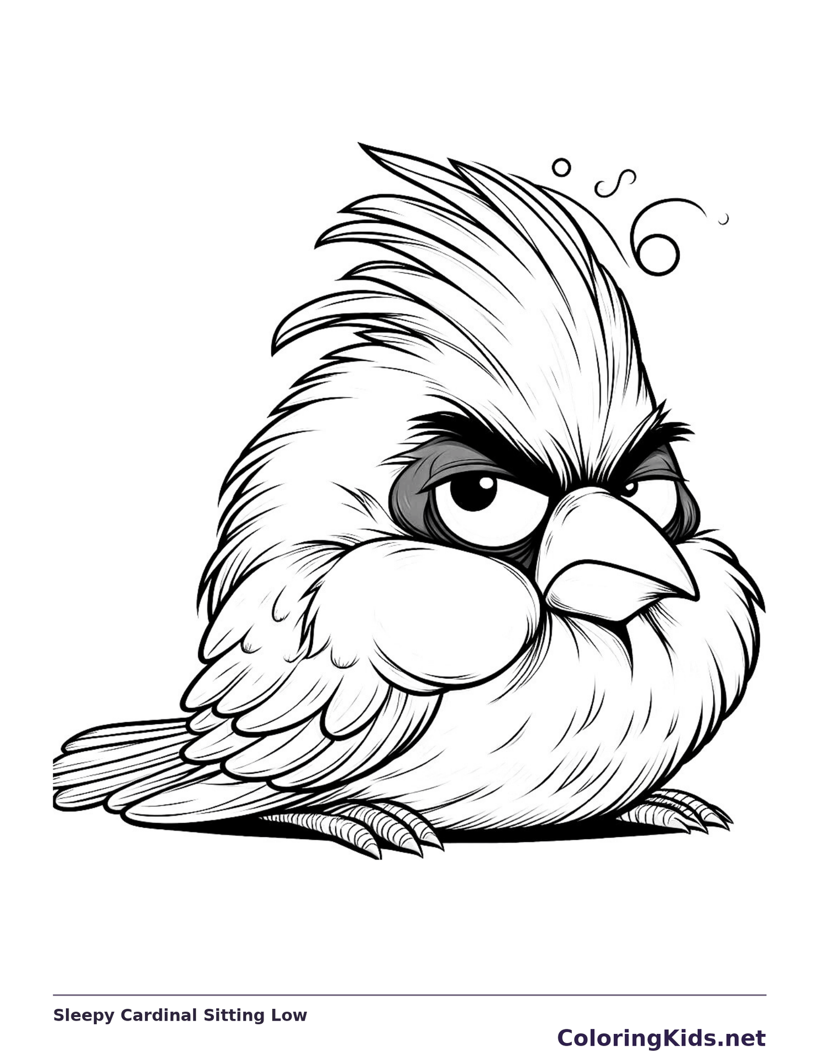 Low-sitting bird beneath long swept feather crest