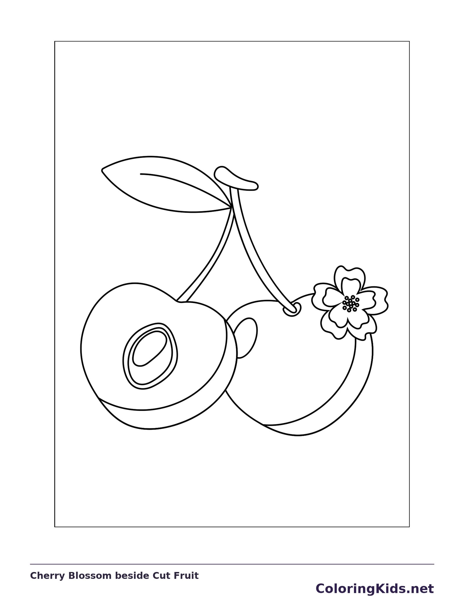 Cherry Blossom beside Cut Fruit coloring page: black and white line art to print or color online