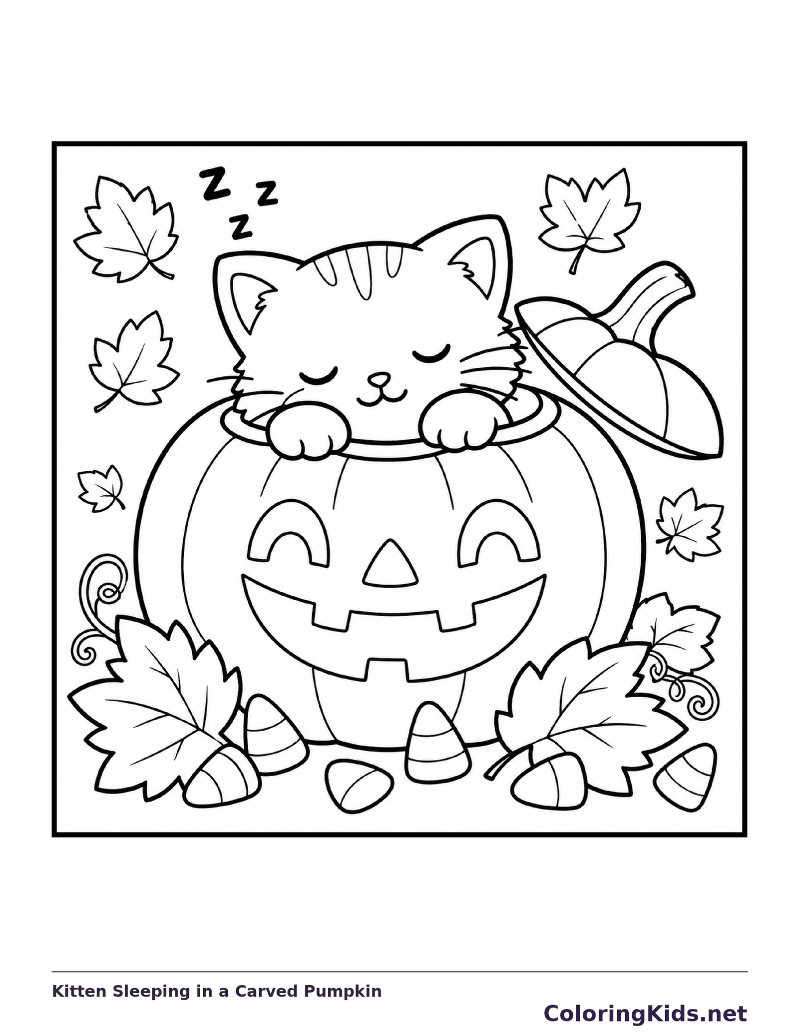 Black and white printable kitten sleeping in a carved pumpkin coloring sheet