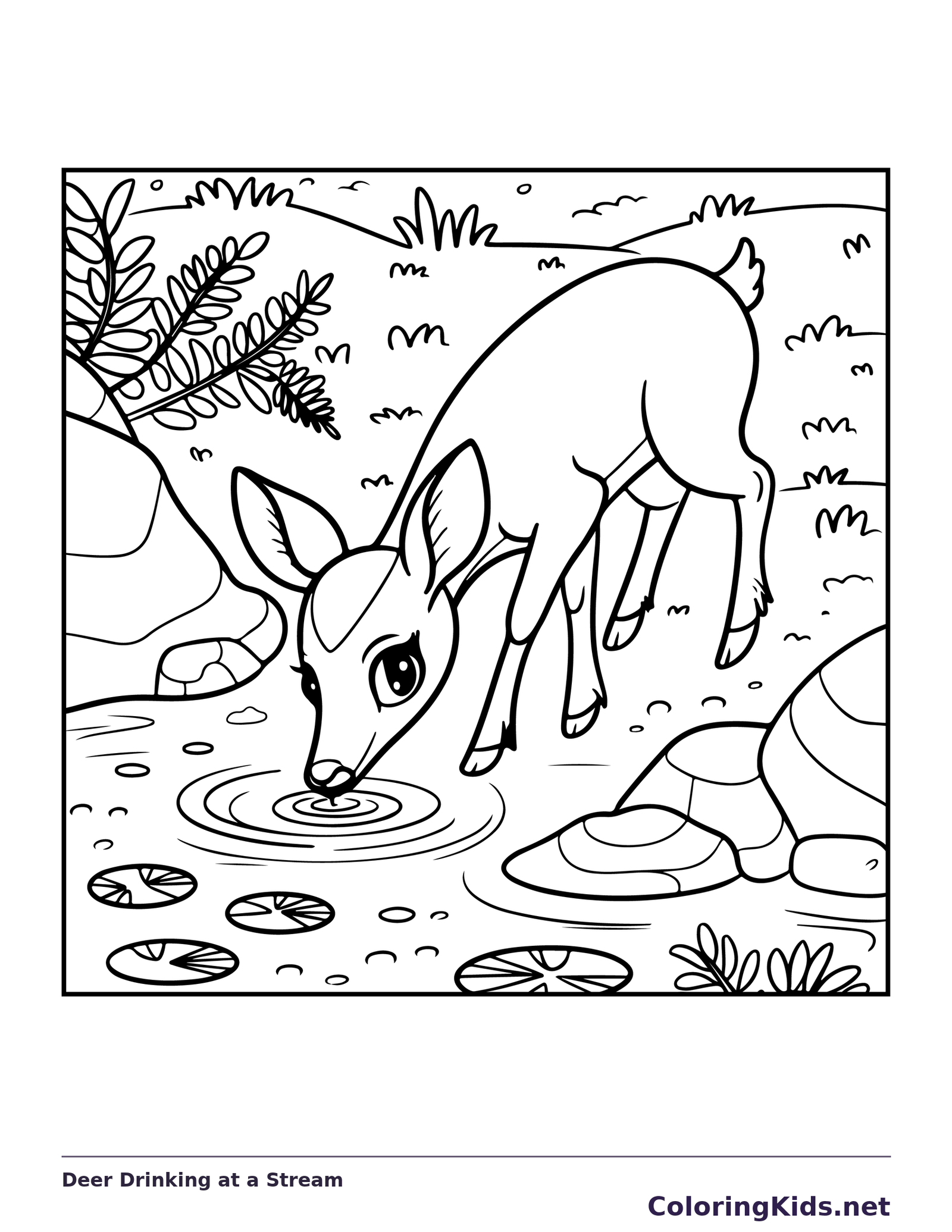 Deer Drinking at a Stream coloring page: black and white line art to print or color online