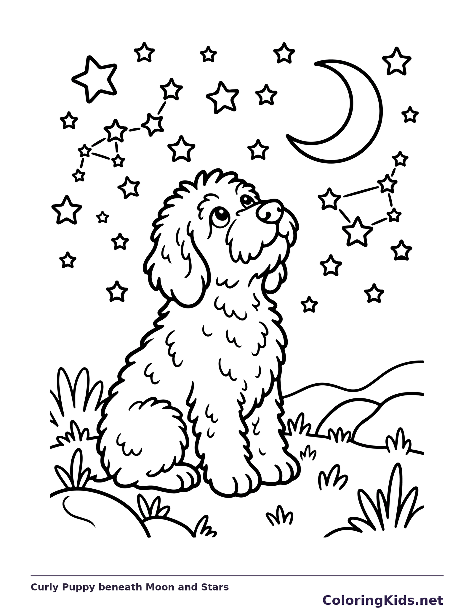 Black-and-white dog coloring page showing curly puppy beneath moon and stars. A fluffy dog looks upward from the grass beneath a crescent moon. Many outlined stars, including two connected groups, fill the sky.
