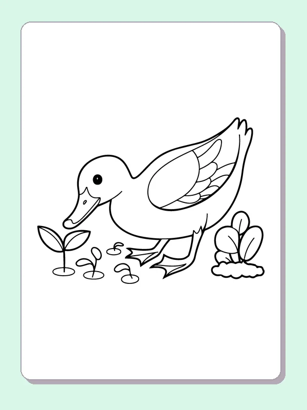Duck Pecking At Seeds coloring page: black and white line art to print or color online