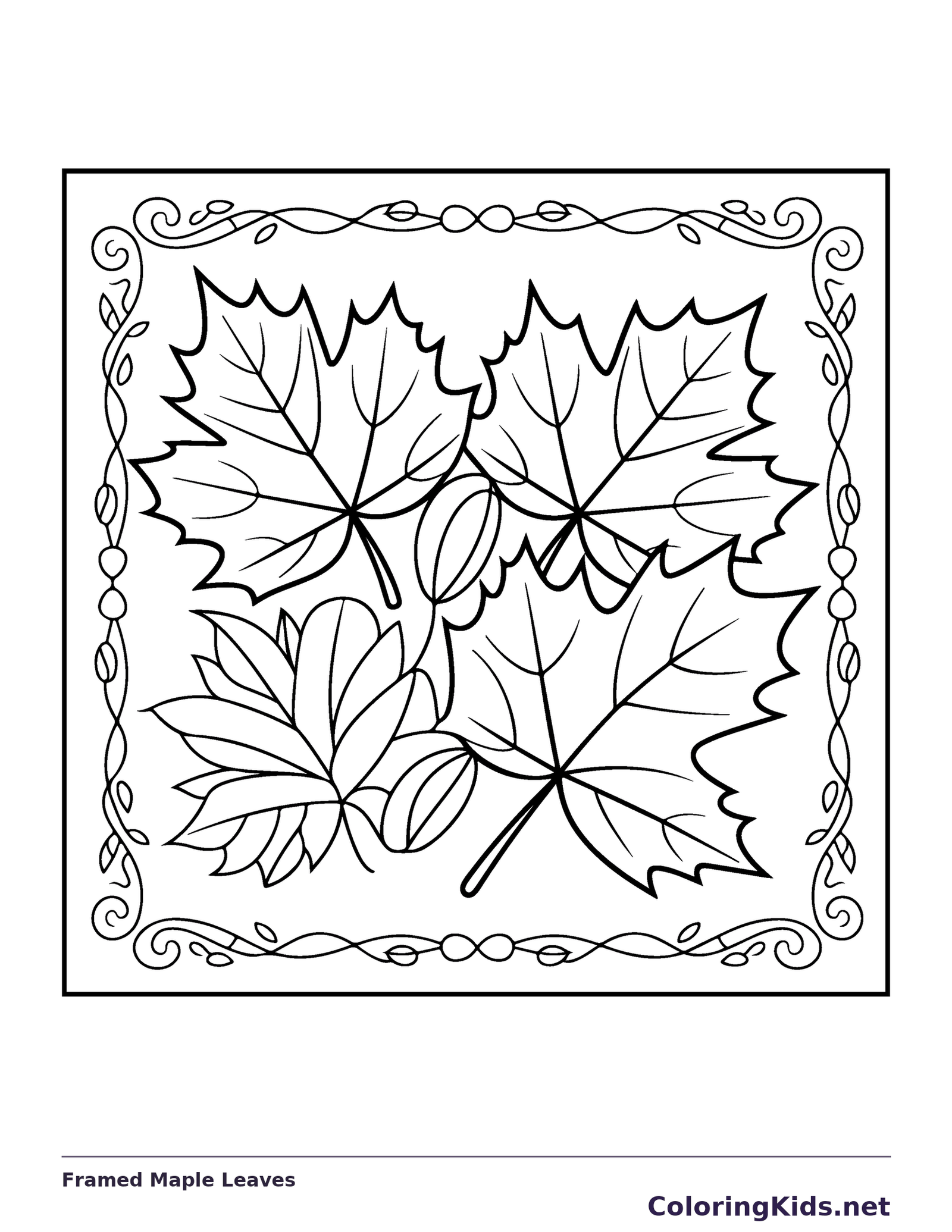 Framed Maple Leaves printable coloring page showing three large maple leaves overlap with smaller foliage inside an ornamental frame