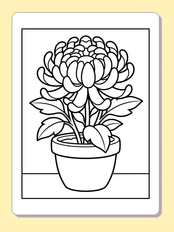 Black and white printable chrysanthemum growing in a pot coloring sheet