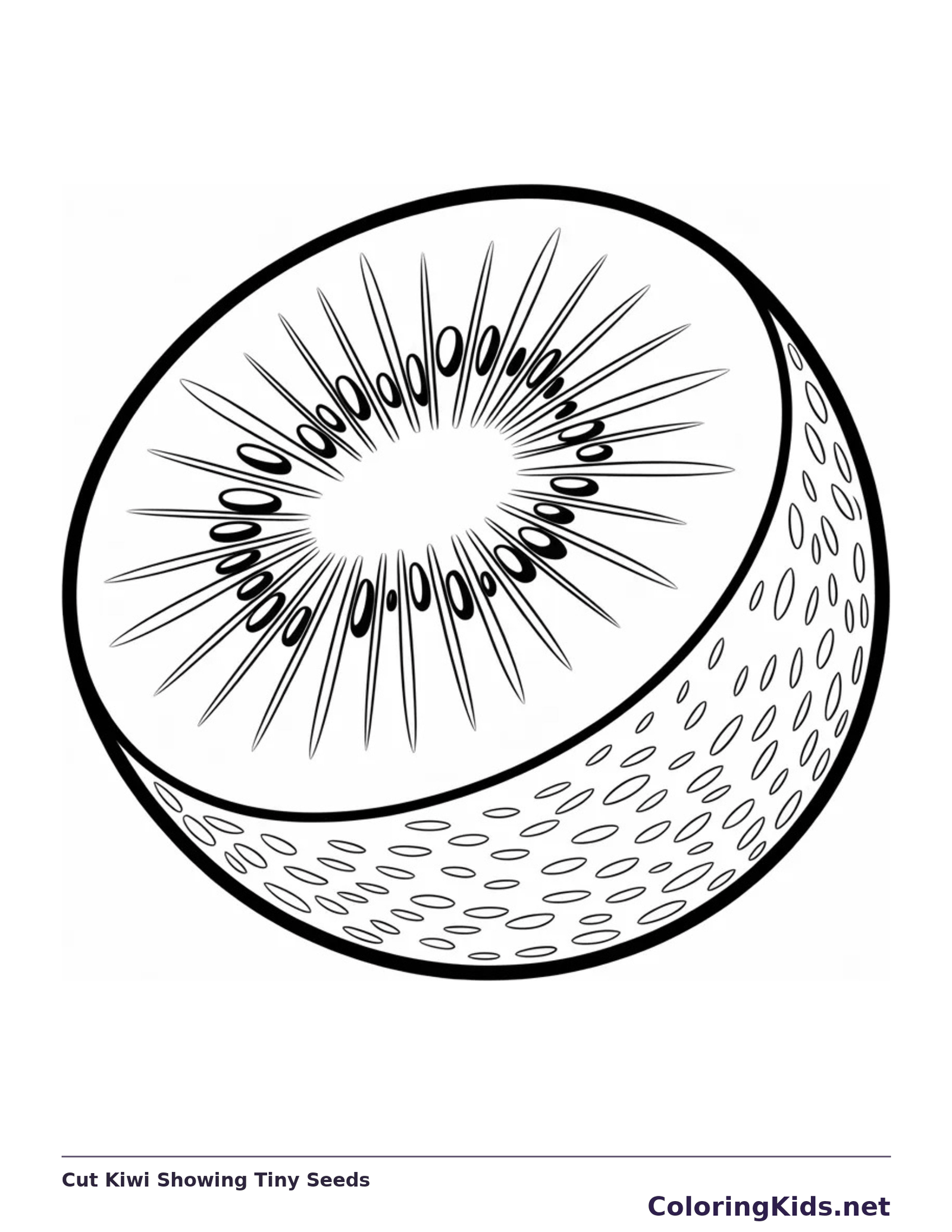 Black and white printable cut kiwi showing tiny seeds coloring sheet
