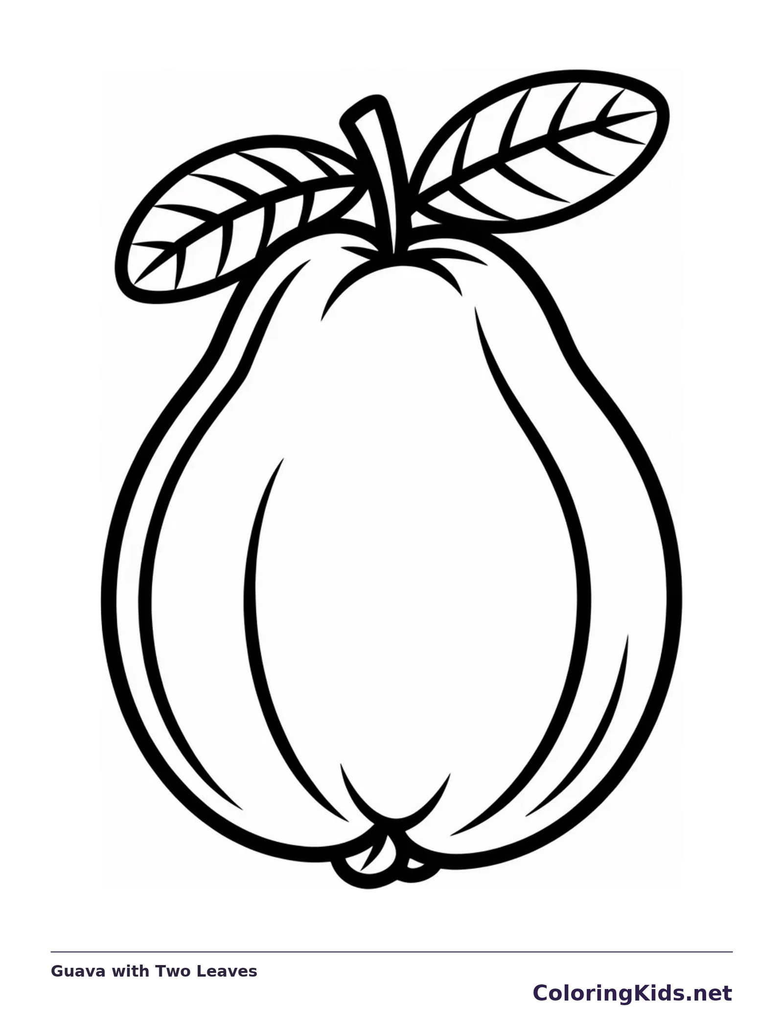 Black and white printable guava with two leaves coloring sheet