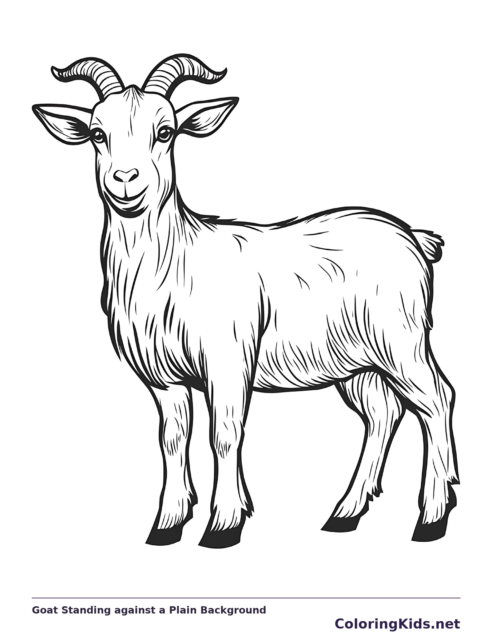 Goat Standing against a Plain Background coloring page: black and white line art to print or color online
