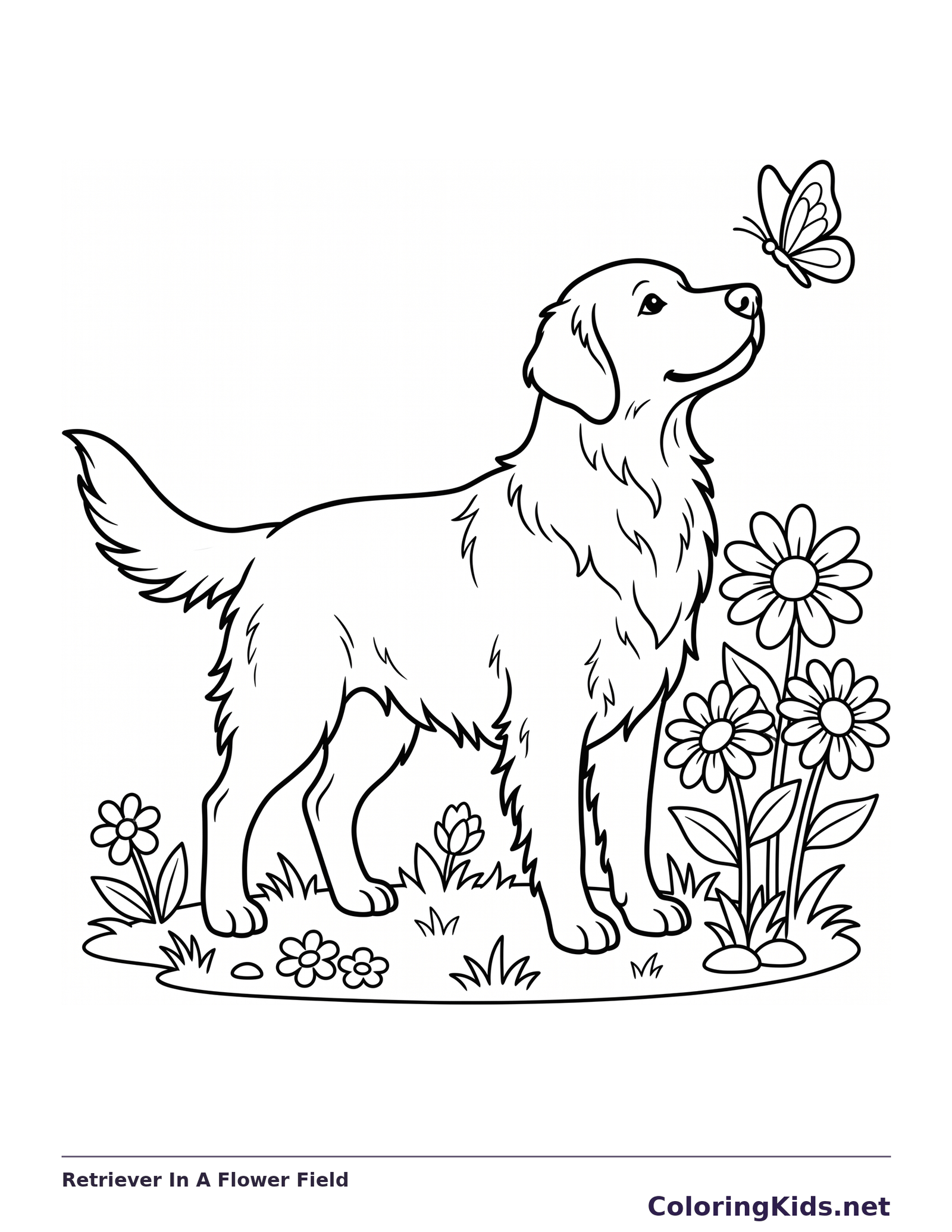 Golden Retriever standing by flowers and watching a butterfly