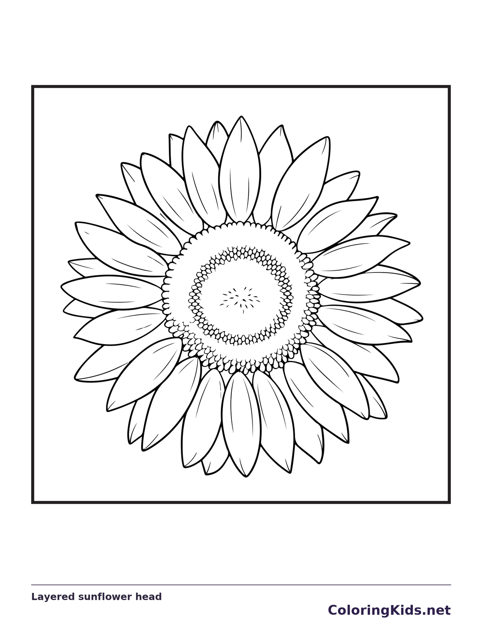 Black and white printable layered sunflower head coloring sheet