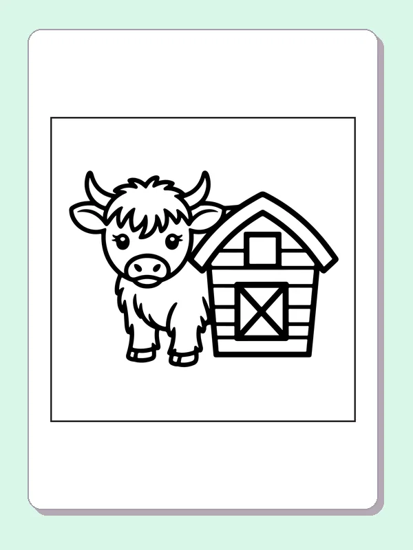 Highland calf beside a barn shed coloring page: black and white line art to print or color online