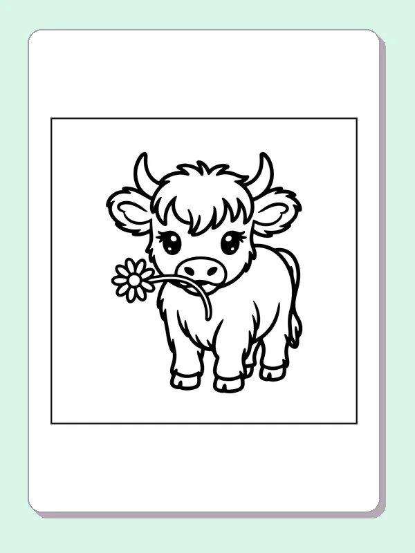 Highland calf holding a flower coloring page: black and white line art to print or color online