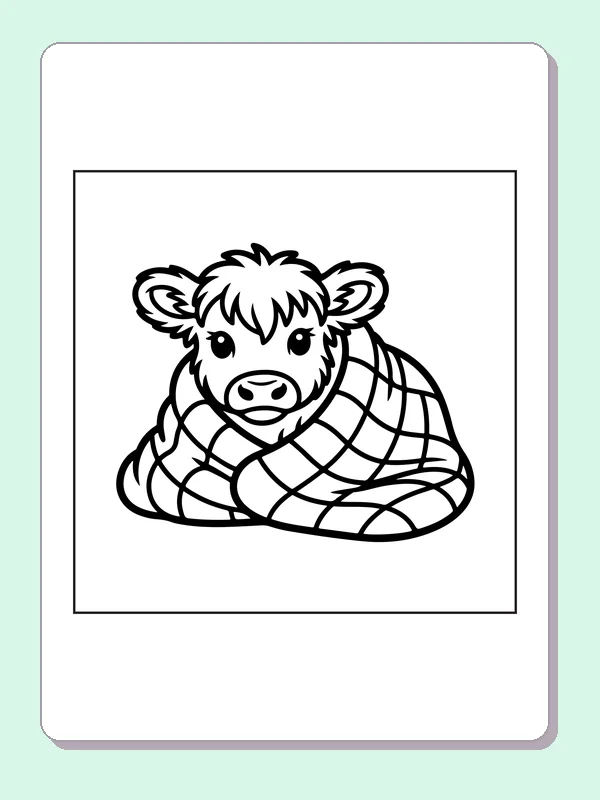 Highland calf wrapped in a blanket coloring page: black and white line art to print or color online
