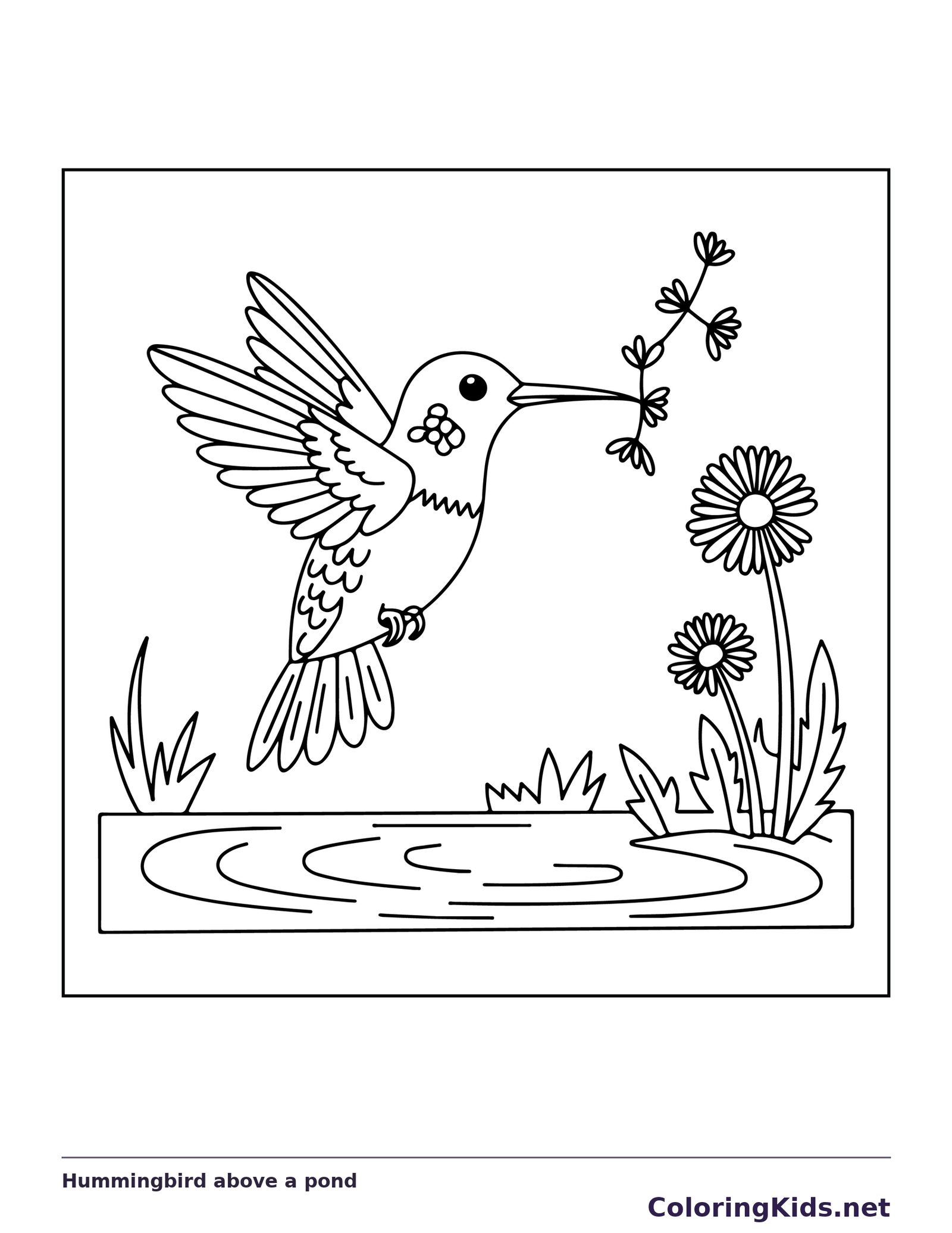 Hummingbird flying above a garden pond